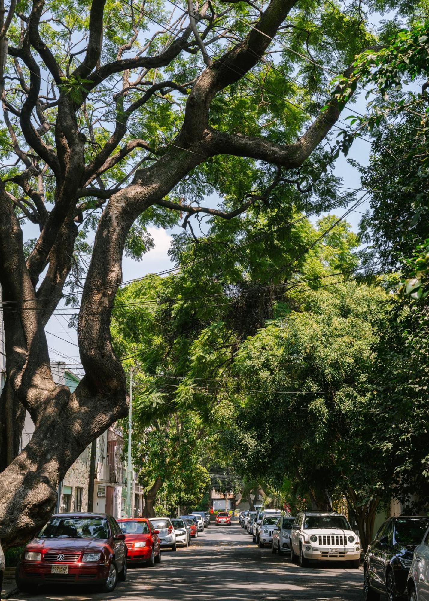 Sonder Miravalle Mexikóváros Kültér fotó